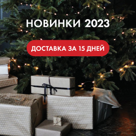 Новый год 2024